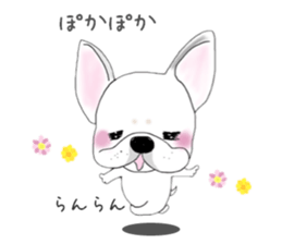 French bulldog wanko Ume 4 sticker #9868846
