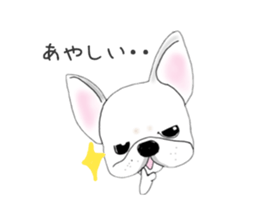 French bulldog wanko Ume 4 sticker #9868848