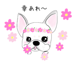 French bulldog wanko Ume 4 sticker #9868849