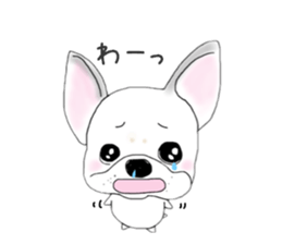 French bulldog wanko Ume 4 sticker #9868850