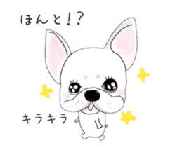 French bulldog wanko Ume 4 sticker #9868853