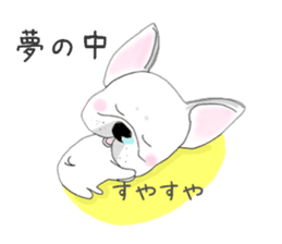 French bulldog wanko Ume 4 sticker #9868855