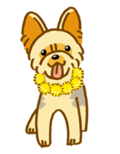 Happy Yorkshire terrier sticker #9870793