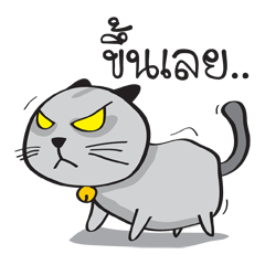 Grayscale Cat