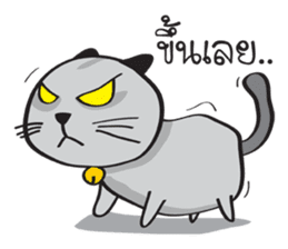Grayscale Cat sticker #9872078