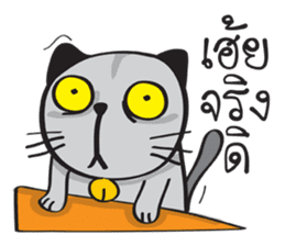Grayscale Cat sticker #9872080