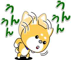 Daily of MameTaro and MameJiro sticker #9872324