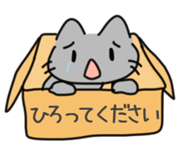 The cat which makes a contact sticker #9874922