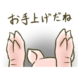 The world of the pig. 1 sticker #9878290