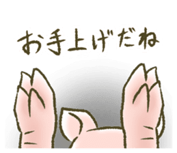 The world of the pig. 1 sticker #9878290