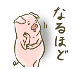 The world of the pig. 1 sticker #9878292