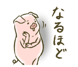 The world of the pig. 1 sticker #9878292