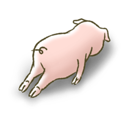 The world of the pig. 1 sticker #9878302