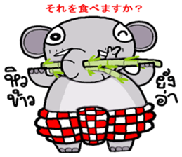 chang noi podduang mayon sticker #9878771