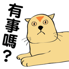 oh~my cat! sticker #9881073