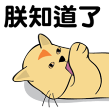 oh~my cat! sticker #9881074