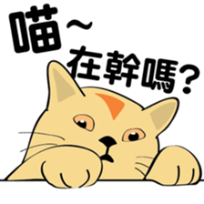 oh~my cat! sticker #9881075