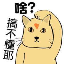 oh~my cat! sticker #9881077