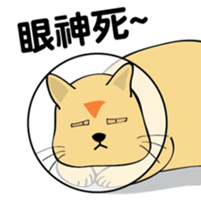 oh~my cat! sticker #9881079