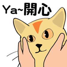 oh~my cat! sticker #9881082