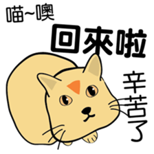 oh~my cat! sticker #9881084