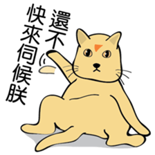 oh~my cat! sticker #9881085