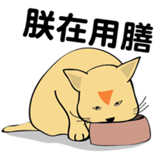 oh~my cat! sticker #9881089