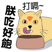 oh~my cat! sticker #9881090