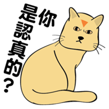 oh~my cat! sticker #9881096