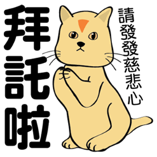 oh~my cat! sticker #9881097