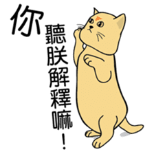 oh~my cat! sticker #9881098