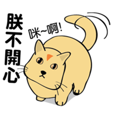 oh~my cat! sticker #9881102