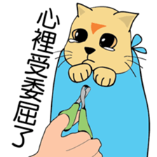 oh~my cat! sticker #9881103