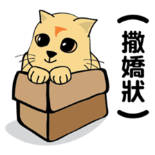 oh~my cat! sticker #9881106