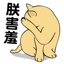 oh~my cat! sticker #9881107