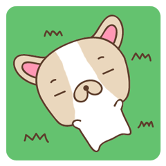 Charlie, The French Bulldog