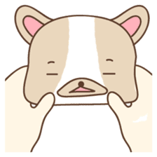 Charlie, The French Bulldog sticker #9883157