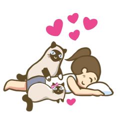 King-Kyo meow & Monchi