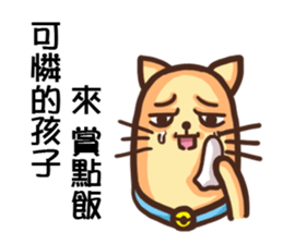 Acid Acid Cat sticker #9886698