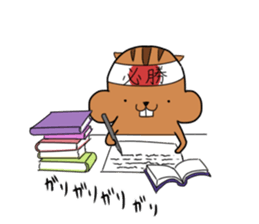 Plump squirrel sticker #9887446