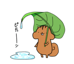 Plump squirrel sticker #9887453