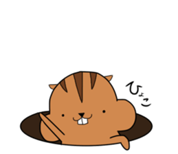 Plump squirrel sticker #9887476