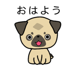 little pug dog sticker #9888560