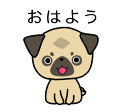 little pug dog sticker #9888560