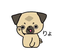 little pug dog sticker #9888563