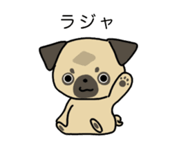 little pug dog sticker #9888565