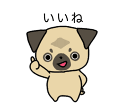 little pug dog sticker #9888566