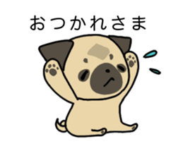 little pug dog sticker #9888567
