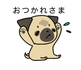 little pug dog sticker #9888567