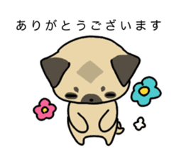 little pug dog sticker #9888570